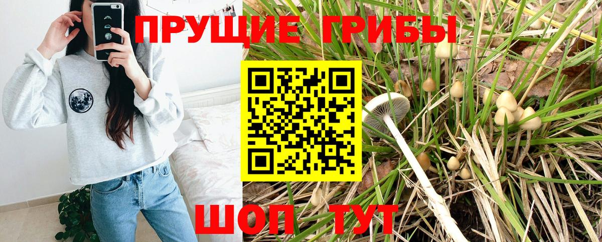 Псилоцибиновые грибы MAGIC MUSHROOMS  Галлюциногенные грибы MAGIC MUSHROOMS  купить  цена  Саранск 