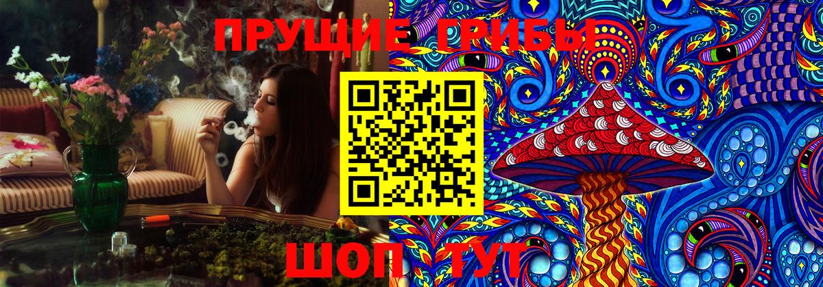 закладки  Галлюциногенные грибы Psilocybe  Вход с VPN  Саранск 