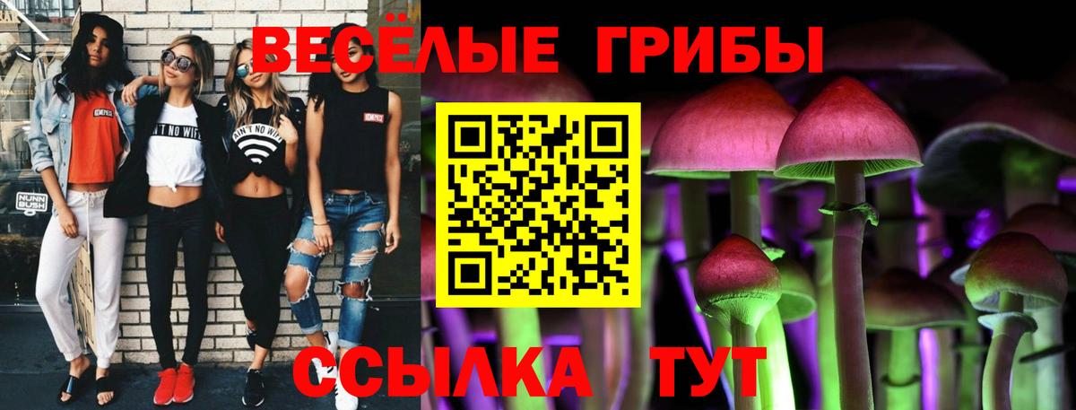 Псилоцибиновые грибы прущие грибы Саранск